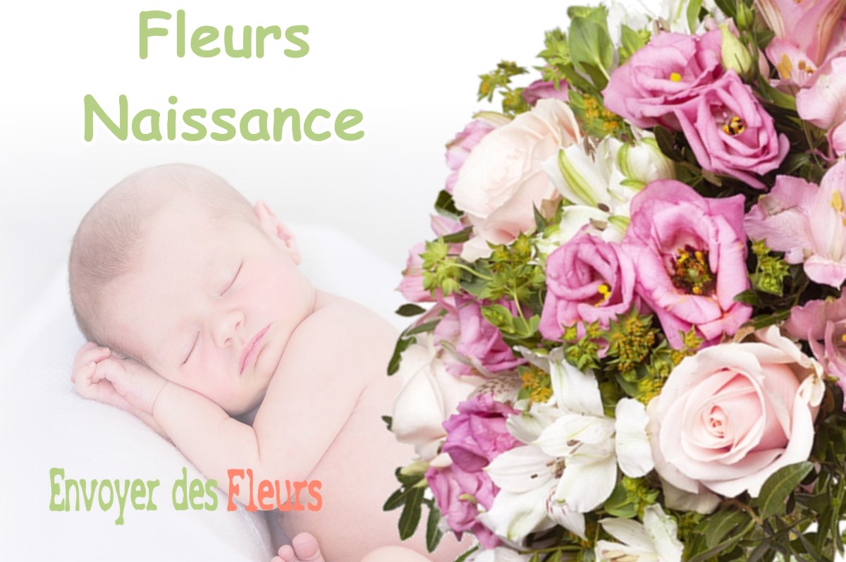 lIVRAISON FLEURS NAISSANCE à BONREPOS-SUR-AUSSONNELLE