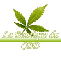 LA BOUTIQUE DU CBD BONREPOS-SUR-AUSSONNELLE 